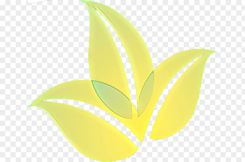Anthurium Flower Leaf Yellow Plant Logo Clip Art PNG
