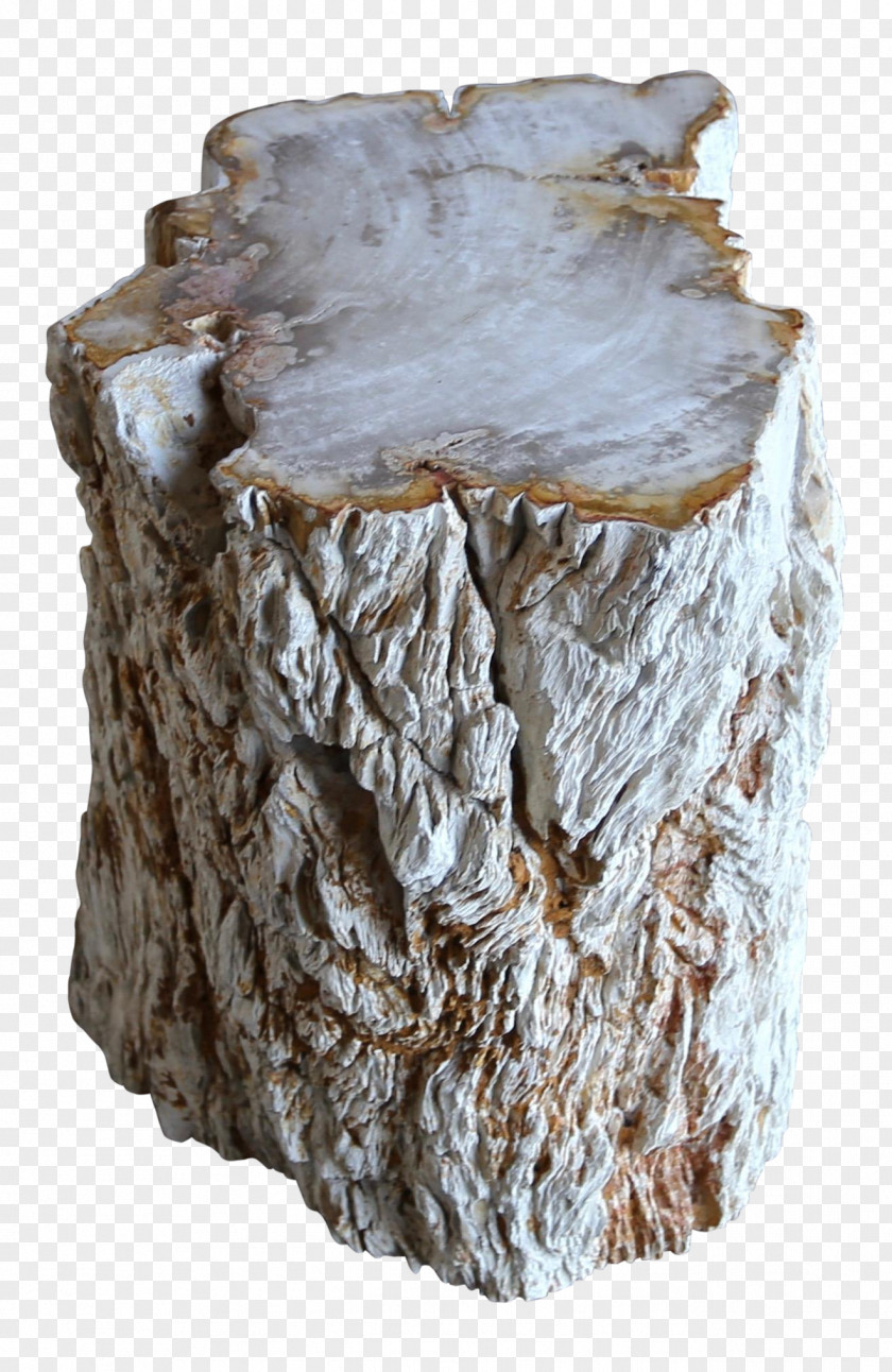 Beige Plant Tree Stump PNG