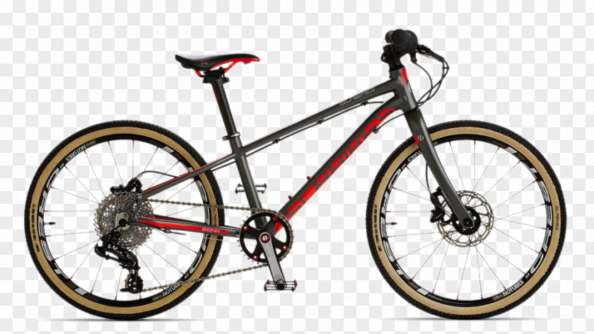 Bicycle Islabikes Forks Mountain Bike Cycling PNG