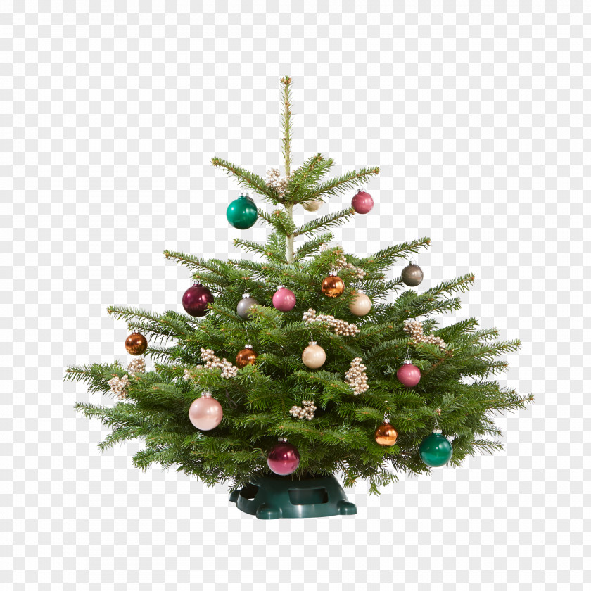Christmas Tree Spruce Ornament Pine PNG