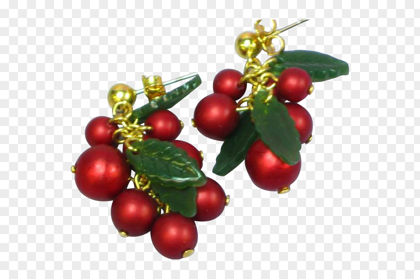 Dangling Kona Coffee District, Hawaii Food Lingonberry Pink Peppercorn PNG