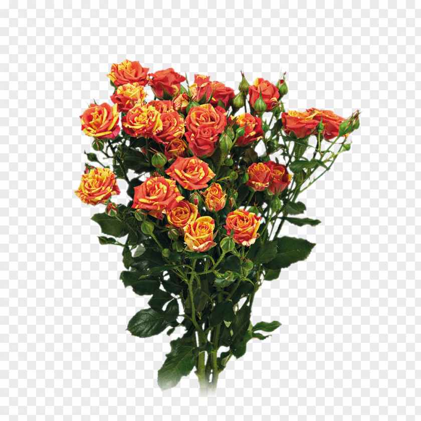 Flower Garden Roses Cut Flowers Floral Design PNG