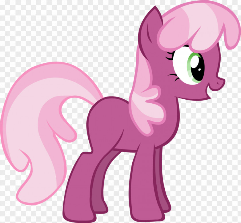 My Vector Pony Rarity Twilight Sparkle Rainbow Dash Pinkie Pie PNG