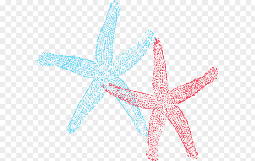 Starfish Clip Art PNG