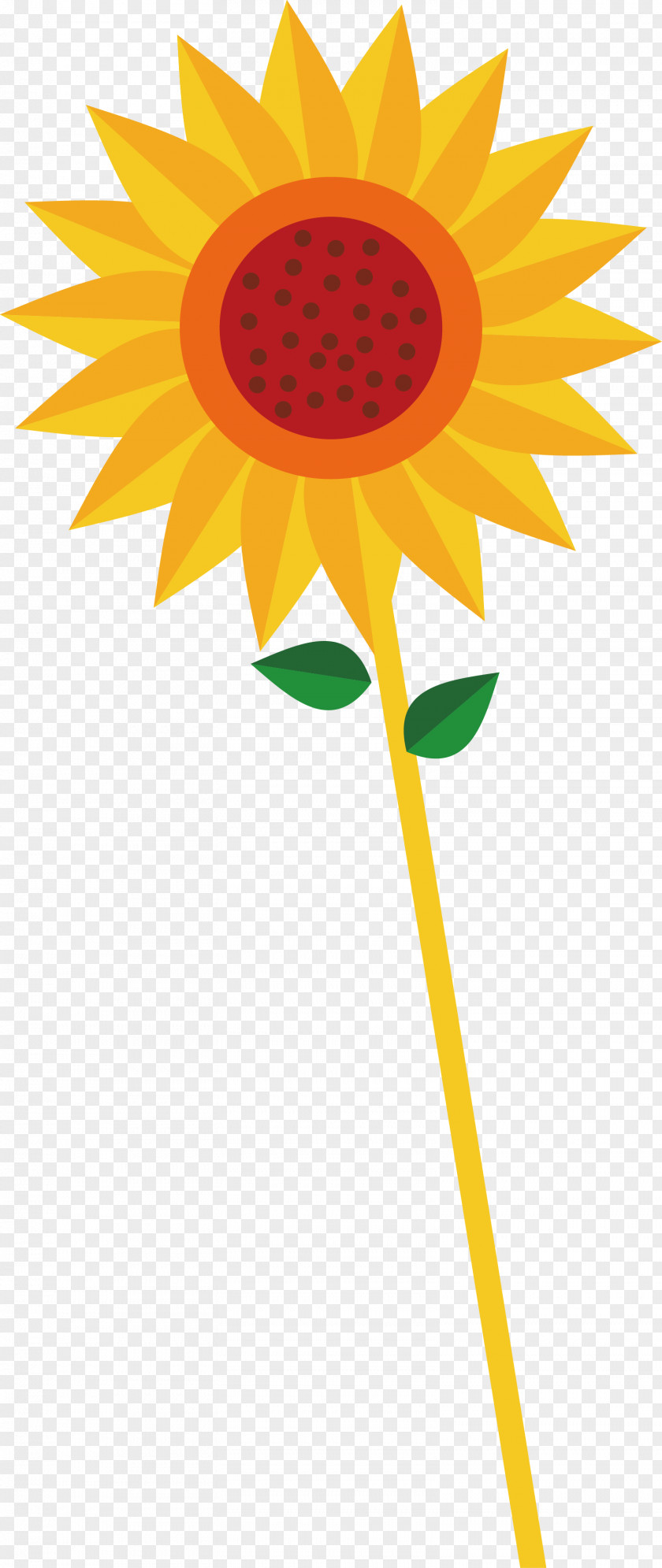 Sunflower Vector Common Euclidean Clip Art PNG