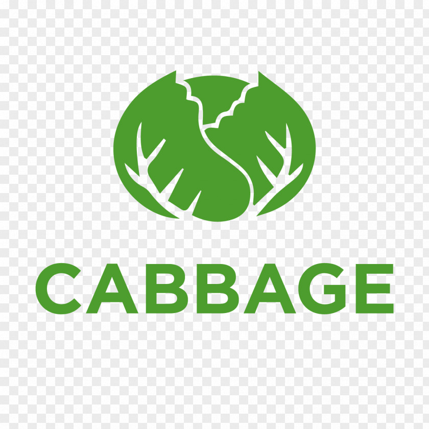 Cabbage Chinese Vegetable Fruit PNG