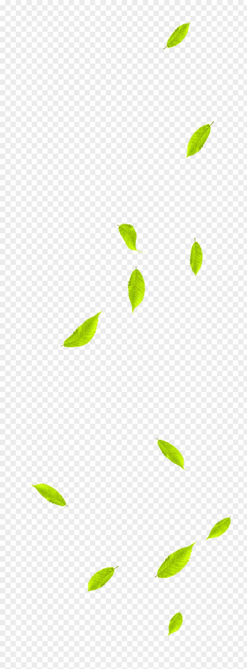 Green And Fresh Leaves Floating Material Leaf PNG