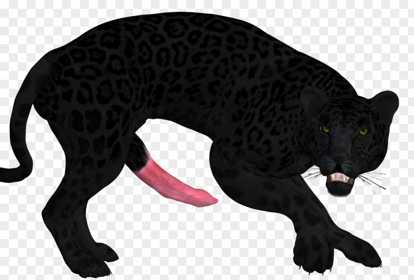 Leopard Cat Terrestrial Animal Puma Wildlife PNG
