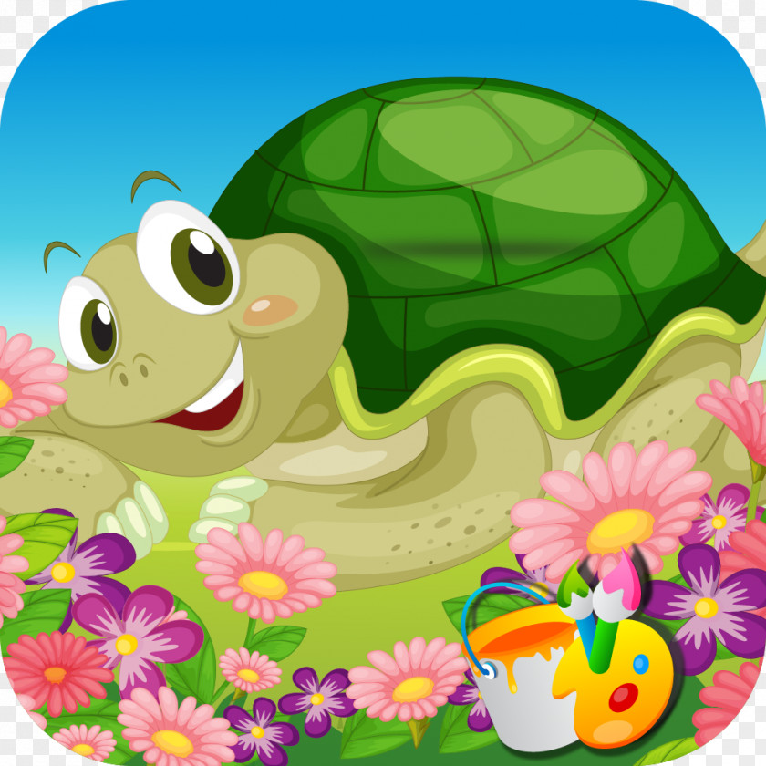 Turtle Photography PNG