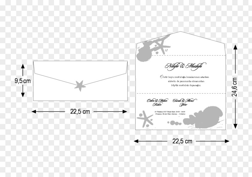 Angle Document White Point PNG