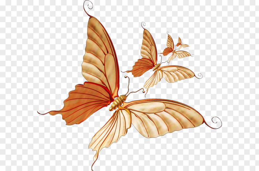 Autumn Painted Butterfly Pattern Monarch Clip Art PNG