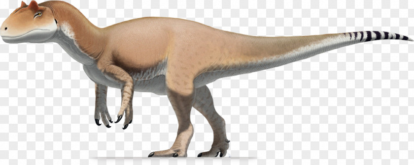 Dinosaur Allosaurus Antrodemus Saurophaganax Tyrannosaurus Stegosaurus PNG