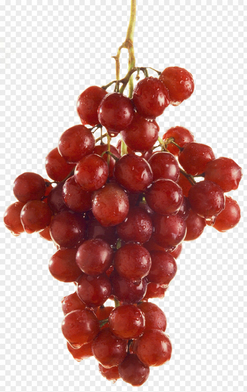 Grapes Grape Red Wine Juice Barbera Flame Seedless PNG