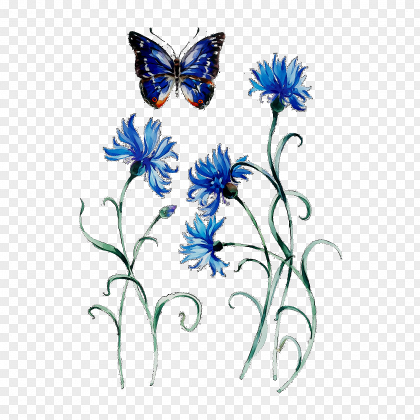 Monarch Butterfly Artikel Tattoo Online Shopping PNG