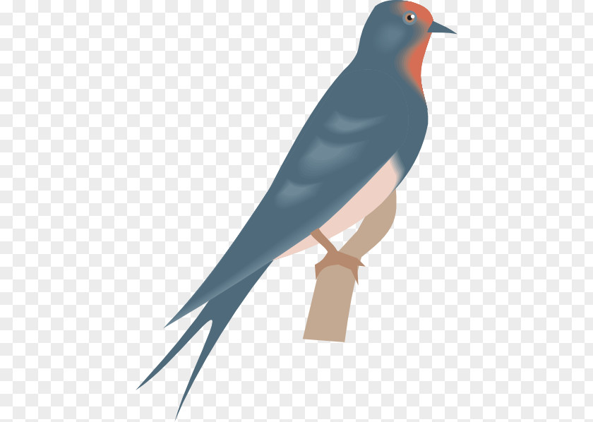 Swallow Clipart Bird Clip Art PNG