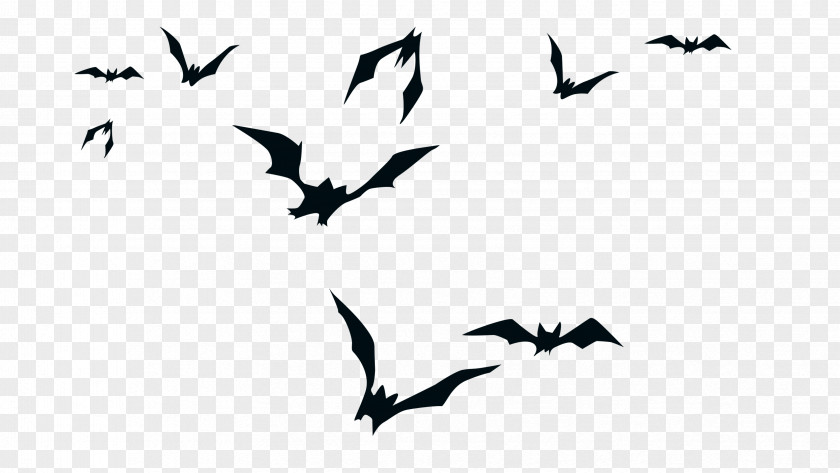 Bat Black Creative Ghostimps Silhouette PNG