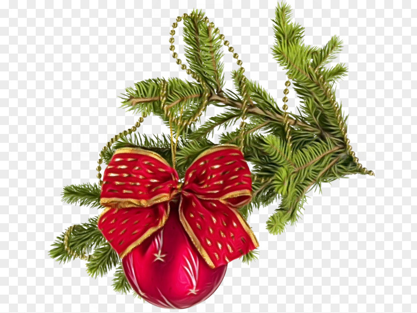 Conifer Christmas Ornament Decoration PNG