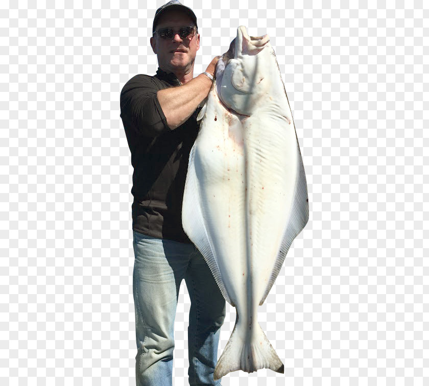 Fishing Halibut Charters Alaska Ocean Pros Lingcod PNG