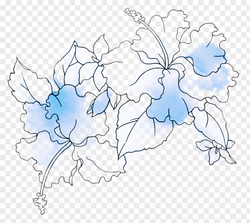 Line Art Petal White Blue Plant Flower PNG