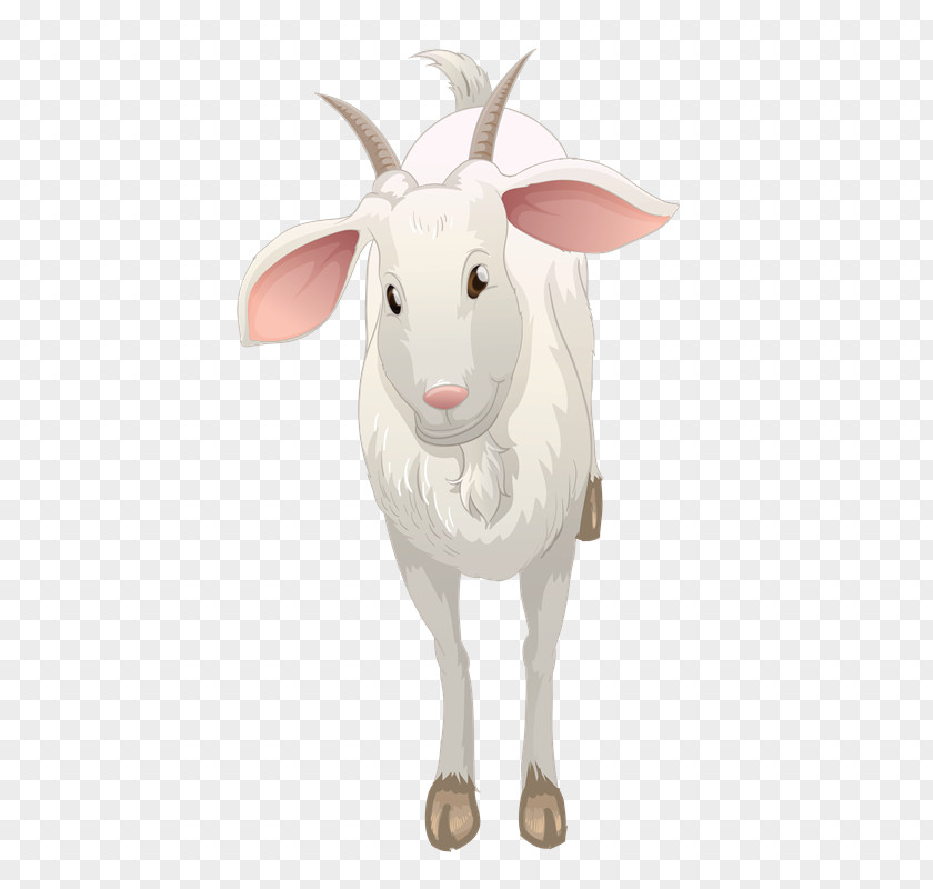 Sheep Goat Ahuntz Cattle PNG