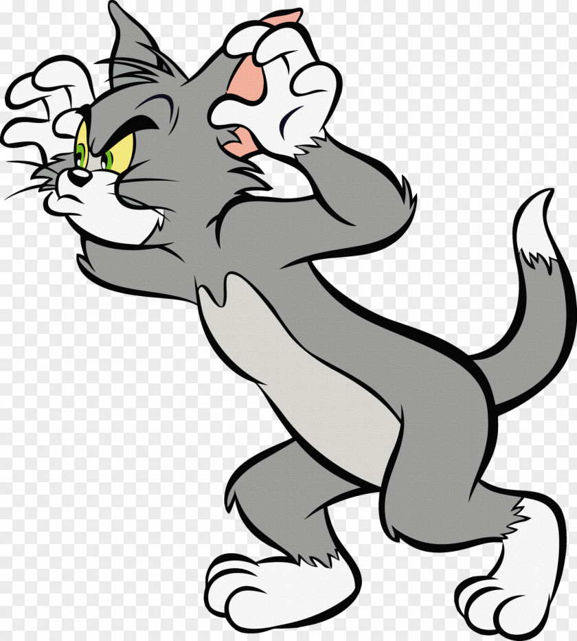 Tom And Jerry Mouse Cat Tweety PNG