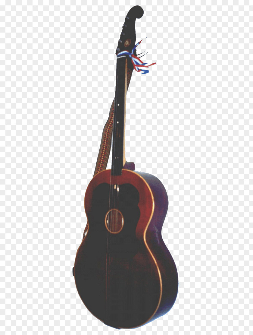 Acoustic Guitar Bass Bugarija Cuatro Tiple PNG