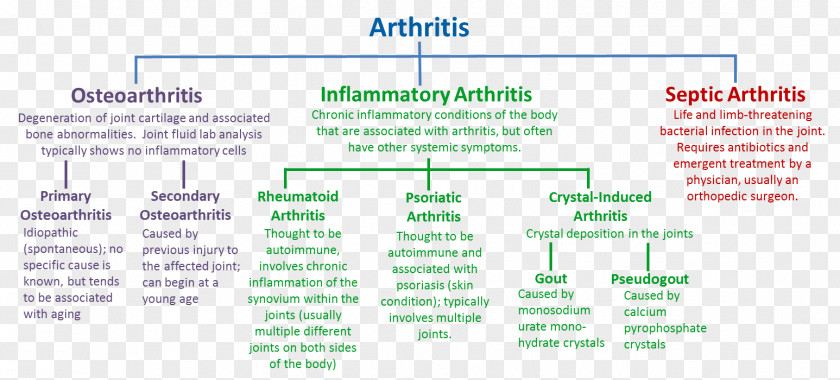 Arthritis Osteoarthritis Rheumatoid Disease Knee PNG