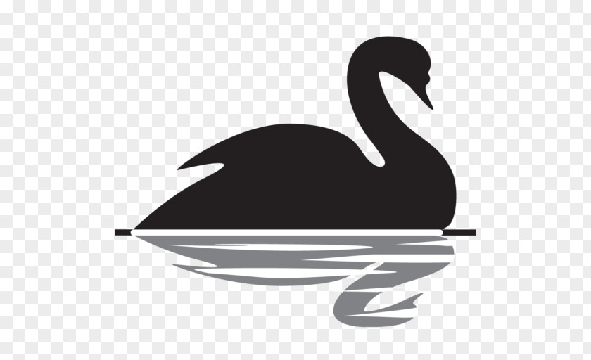 Black Swan The Swan: Impact Of Highly Improbable Lebanon Theory Finance PNG