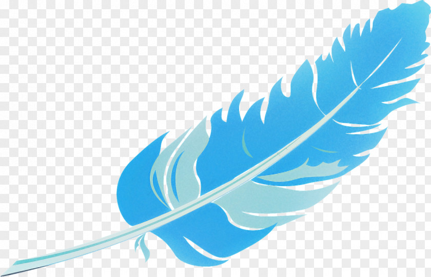 Feather PNG