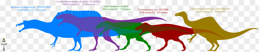 Mongolian Dinosaur Size Giganotosaurus Carcharodontosaurus Velociraptor Megaraptor PNG