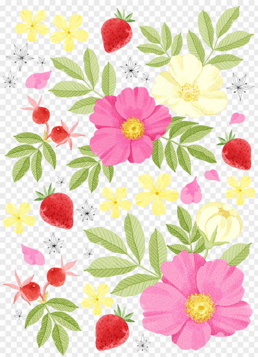 Flowers Strawberry Decorative Pattern Material Watercolor Painting Drawing Illustration PNG