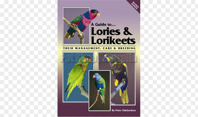 Lories And Lorikeets Macaw Parrot A Guide To (Revised Edition): Their Management, Care Breeding Cockatiel Bird PNG