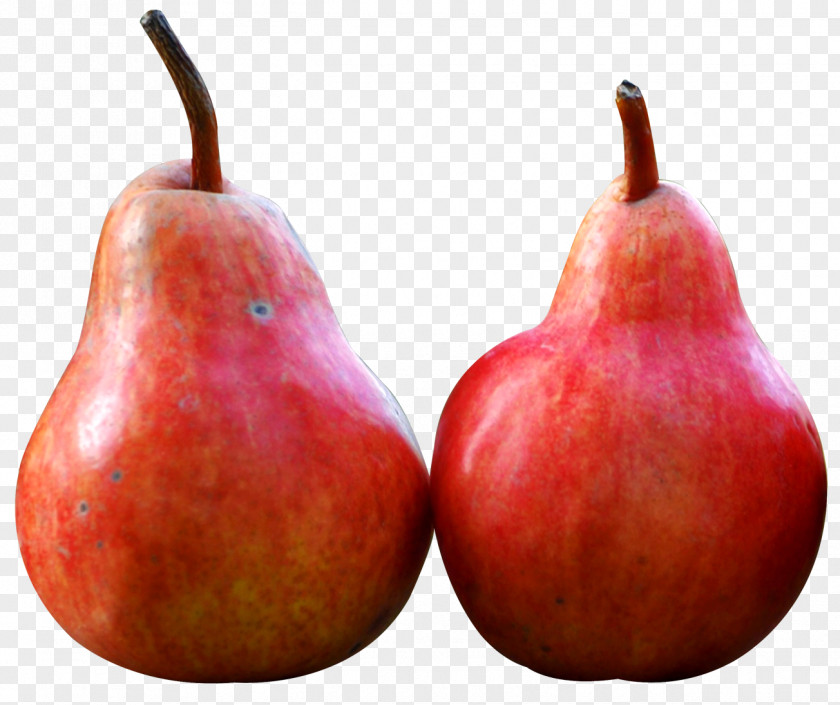 Pear Fruit PNG