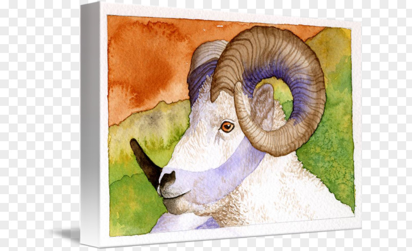 Sheep Painting Wildlife Snout Jeffrey Horn PNG