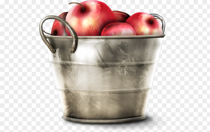 Apple Bucket Fruit Clip Art PNG