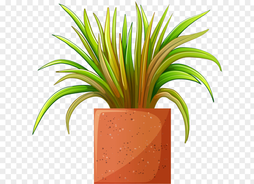 Beautiful Plant Cliparts Houseplant Flowerpot Bonsai Clip Art PNG