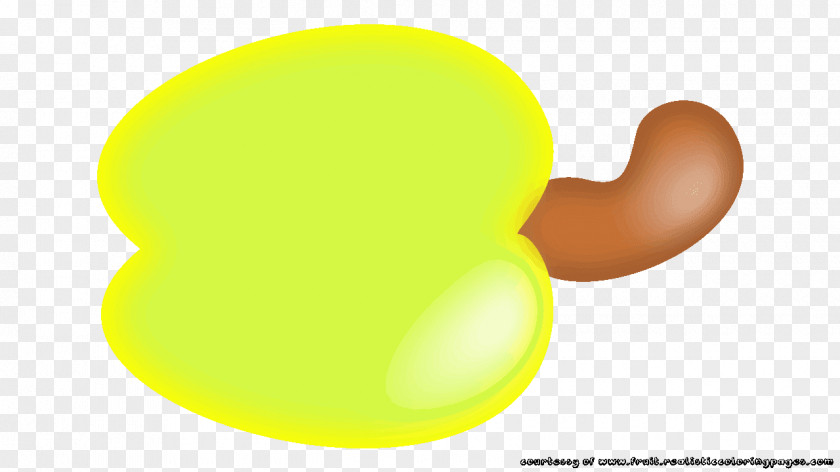 CASHEW Yellow Circle Clip Art PNG