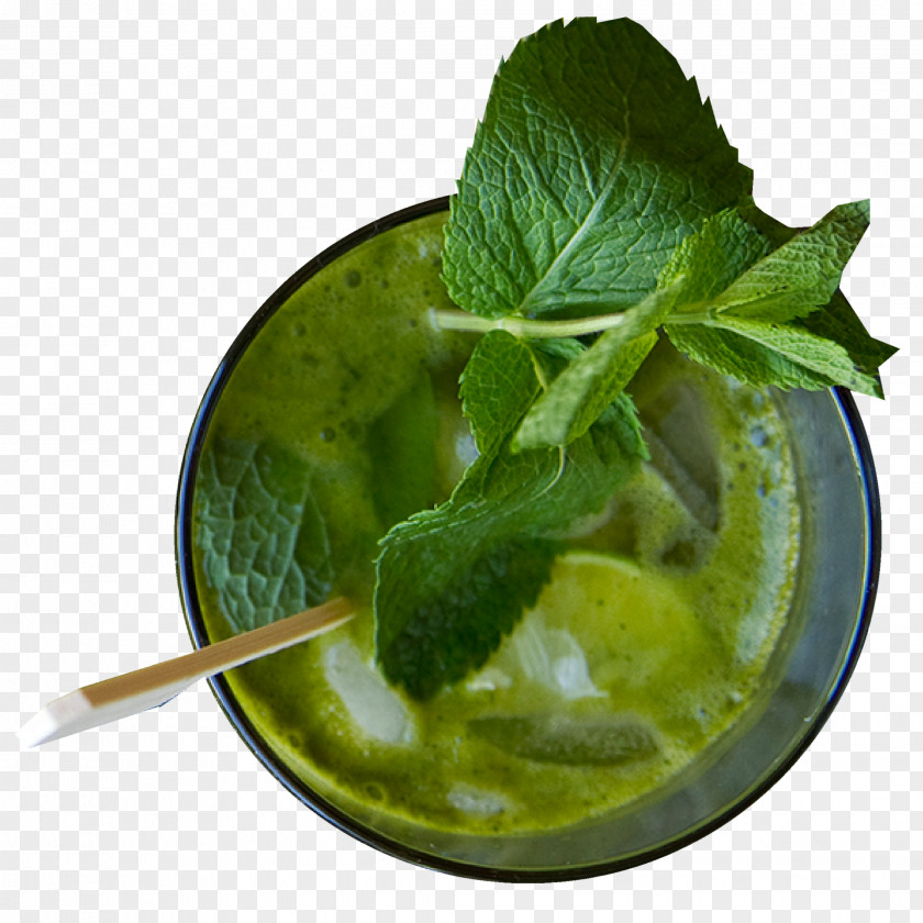 Falafel 1818 Hummus Mint Julep Vegetarian Cuisine PNG