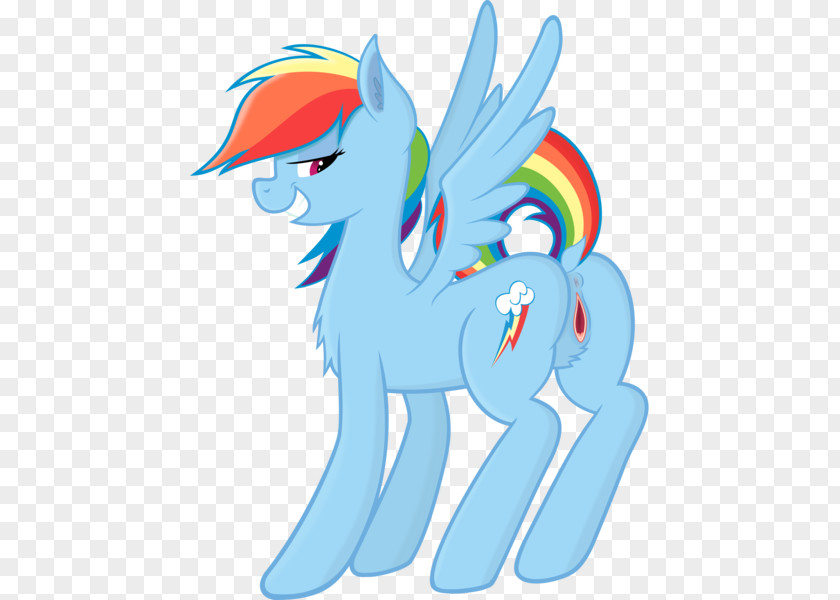 Horse Pony Rainbow Dash Rarity Applejack Fluttershy PNG