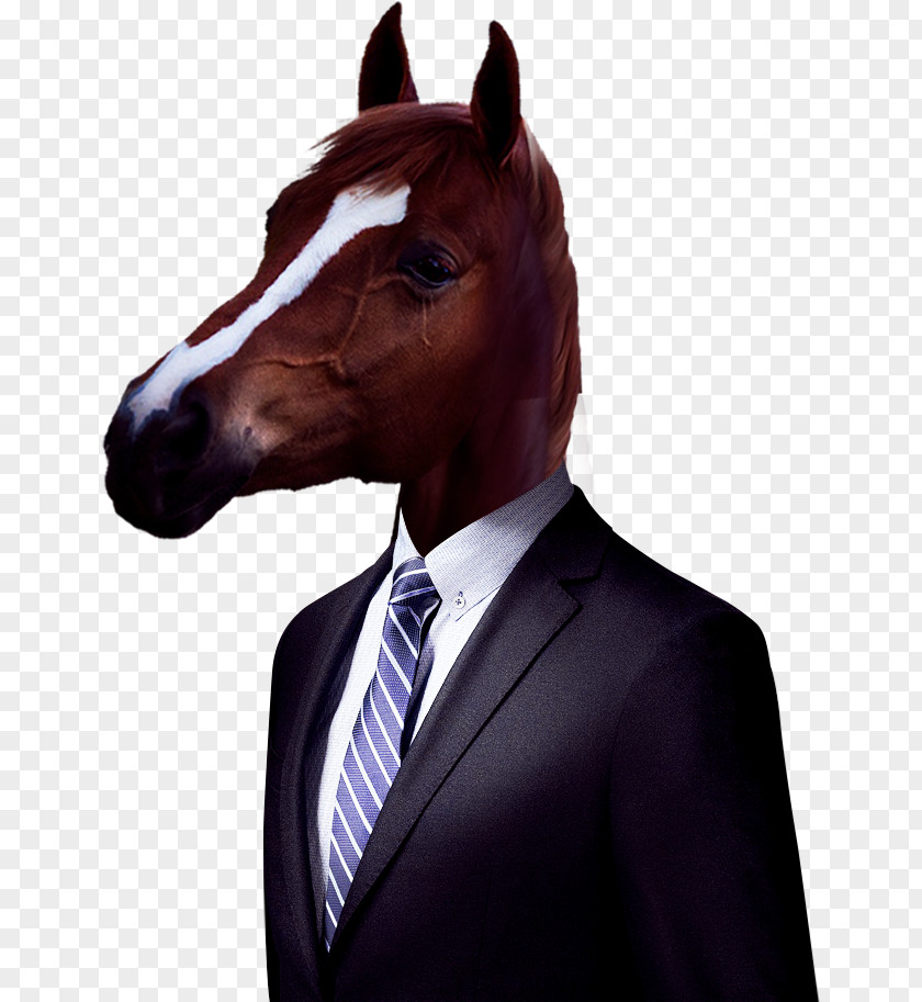 Horsehead Creative Suit Horse Designer PNG