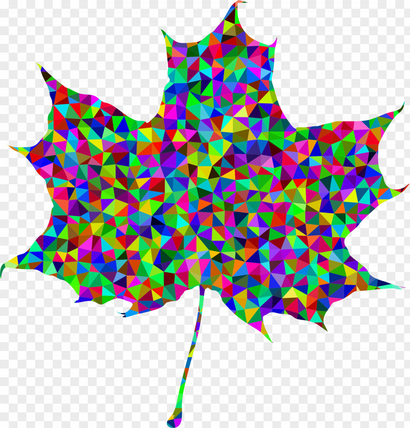 Maple Leaf Human Brain Clip Art PNG