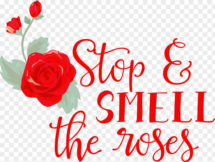 Rose Stop And Smell The Roses PNG