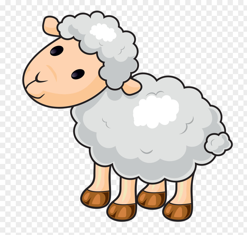 Sheep Bighorn Clip Art PNG