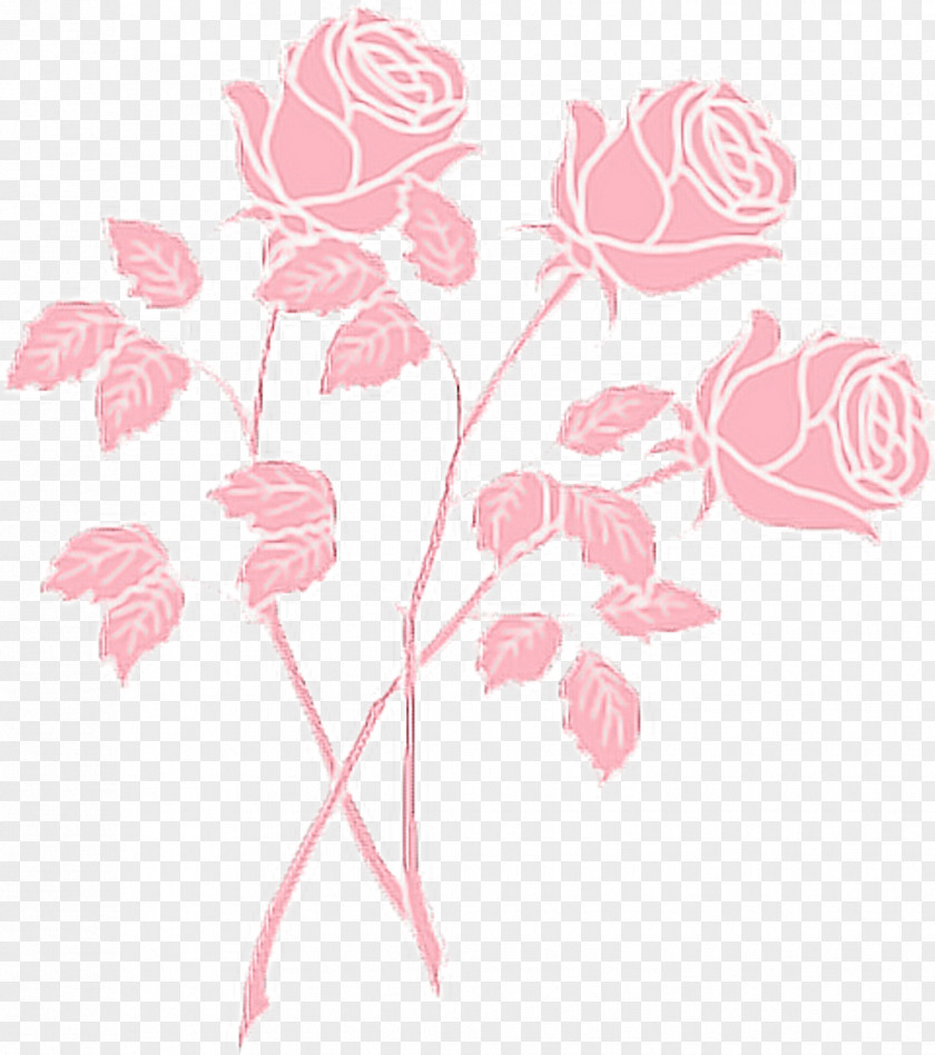Aesthetic Drawings Rose Clip Art Pink Drawing PNG