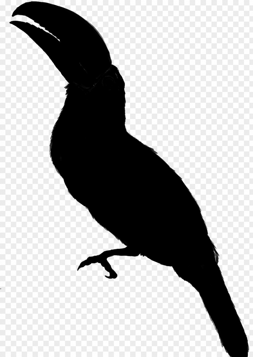 Clip Art Free Content Image Silhouette Bird PNG