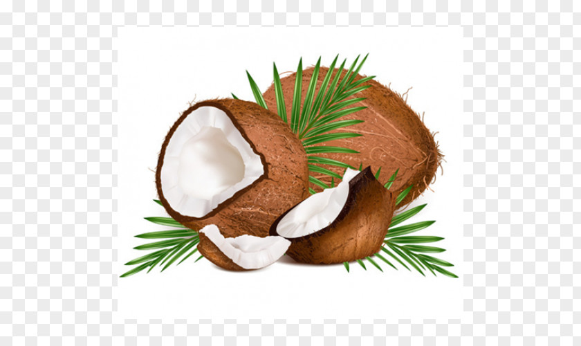 Coconut Water Clip Art PNG