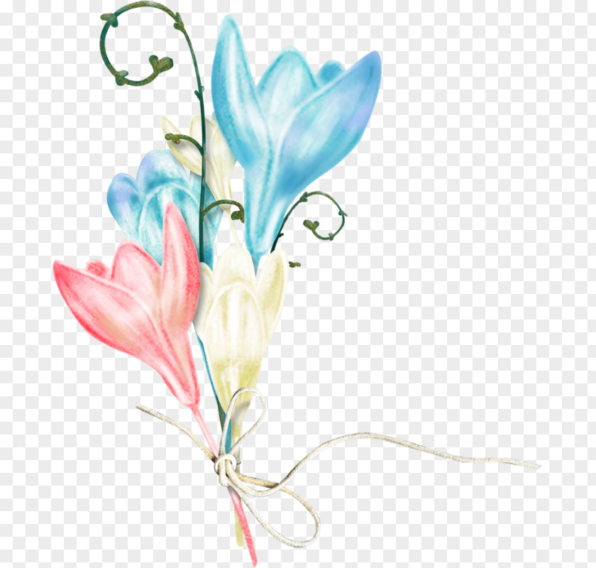 Flower Petal Floral Design Cut Flowers PNG