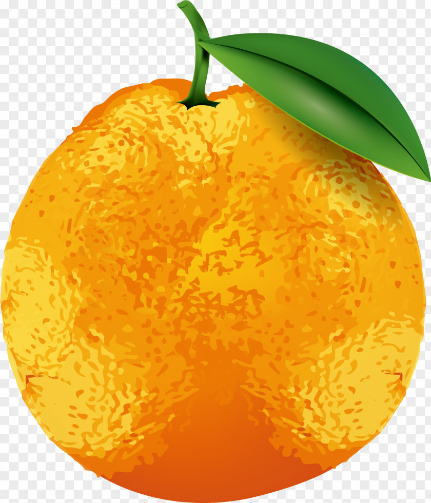 Hand Painted Yellow Pear Leaves Clementine Tangerine Tangelo PNG