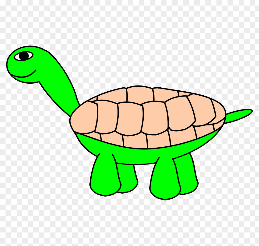 Pictures Of Cartoon Feet Green Sea Turtle Tortoise Clip Art PNG