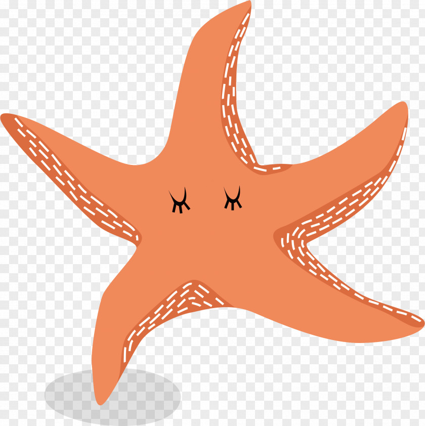 Red Starfish Vector Euclidean PNG